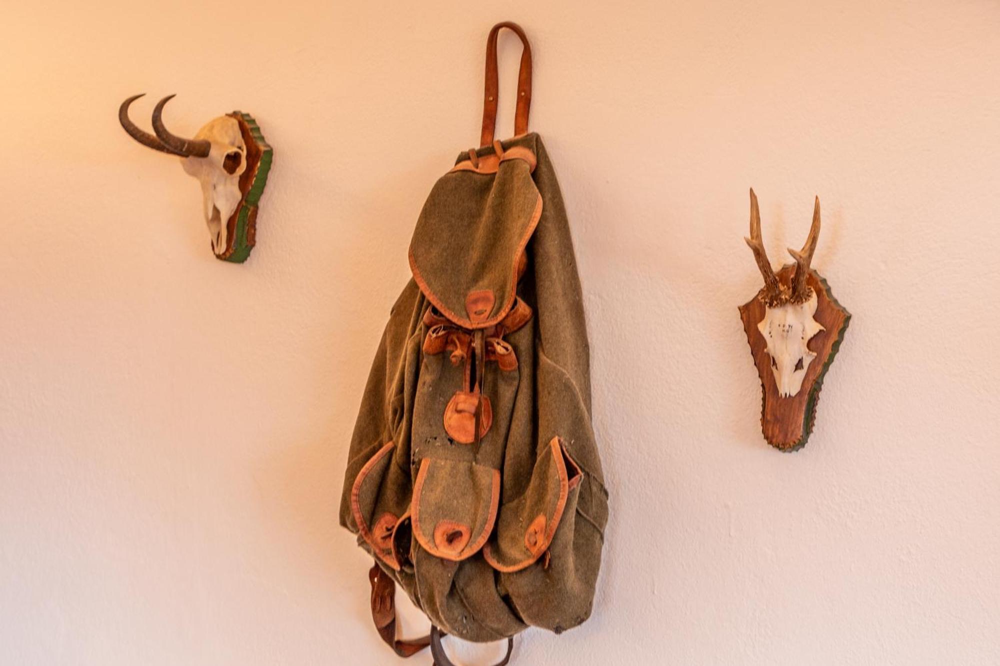 Appartements Kirchenwirt Kirchberg in Tirol Dış mekan fotoğraf